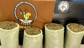 Homem abandona quase 32 kg de maconha e foge da polícia em Pariconha