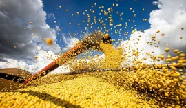 Cooperativa agro recebe R$ 7 milhões em bônus referentes ao crédito de carbono