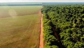 Enquanto agronegócio demite, Amazônia Legal contrata, aponta pesquisa