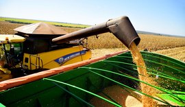 Agropecuários poderão se autofiscalizar; entenda