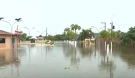 Lagoa Manguaba em estado crítico acende alerta na Defesa Civil de Alagoas