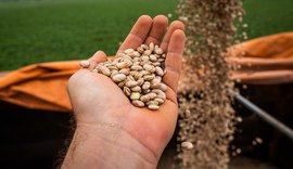 Tendência é de estabilidade para preços agrícolas na safra 2025/26