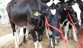 Expo Bacia Leiteira fará lançamento oficial na sexta (20)