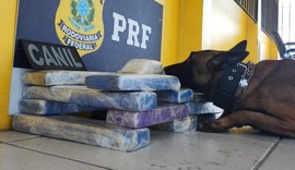 Operação integrada apreende mais de 12kg de maconha em São Sebastião