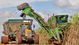 Asplana aposta em chuvas para alcançar meta de 18 milhões de toneladas de cana processadas