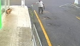 Idoso é preso em flagrante após envenenar quatro cachorros em Palmeira dos Índios