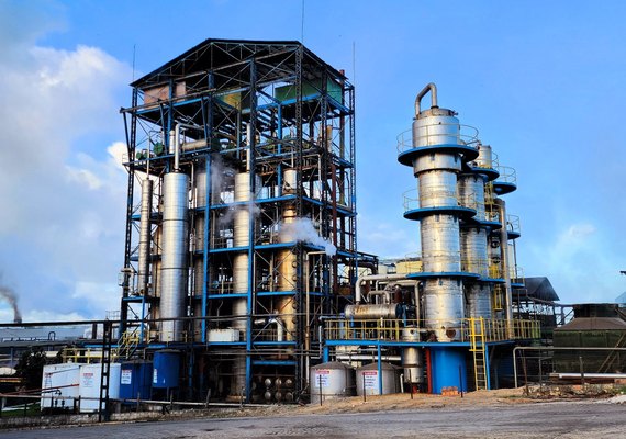 Usina Pindorama segue a pleno vapor na produção de etanol de sorgo