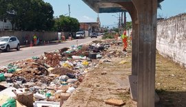 Ação da Prefeitura recolhe 85 toneladas de resíduos e planta 120 mudas de árvores no bairro da Ponta Grossa