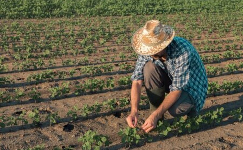 Crédito rural tem aumento de 16% no primeiro mês da safra 2021/2022
