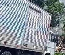 Caminhão derruba árvore depois de perder o controle na Av. Durval de Góes Monteiro
