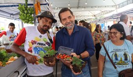 Alimentos da Roça do Sertão de Alagoas São Destaque na Feira da Agricultura Familiar em Delmiro Gouveia