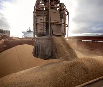 Preço da soja começa semana em alta no Brasil, sustentado pela demanda chinesa