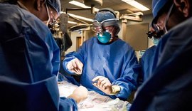 Primeira cirurgia de transplante de rim de porco para humano é realizada com sucesso