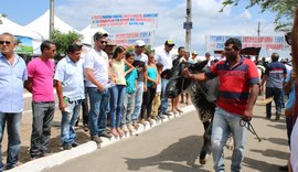 Expo Bacia vai fortalecer setor leiteiro do Nordeste