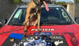 Polícia Militar prende dois por tráfico e cumpre mandado judicial no Litoral Sul de Alagoas