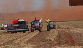 Safra de 2020 deve bater recorde e chegar a 240,9 milhões de toneladas