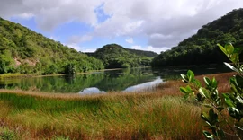 APA Catolé e Fernão Velho: um oásis verde no coração de Maceió