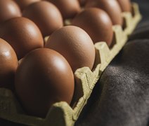 Dia do Ovo: Brasil produziu mais de R$ 64 bilhões de ovos em 2024