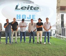 Leilão Mais Leite destaca genética de excelência com raças Girolando e Gir Leiteiro