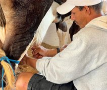 Expo Bacia Leiteira traz mais uma edição do tradicional Torneio Leiteiro da Agricultura Familiar