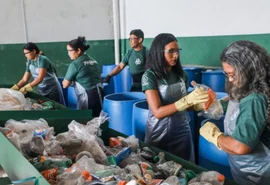 Cooperativas brasileiras têm grandes desafios antes da COP30