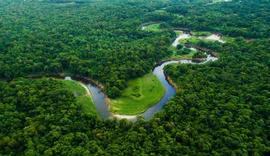 Cooperativismo apoia projeto da Lei Geral do Licenciamento Ambiental