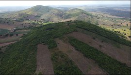 Com investimento estrangeiro, Arapiraca pode ser próximo polo do ouro no Brasil