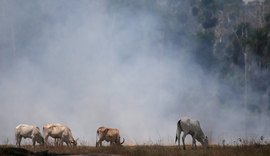 COP26: cerca de 100 nações apoiam promessa de reduzir emissões de metano