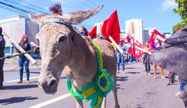 Manifestantes usam jumento como sósia de bolsonaro durante ato em Maceió