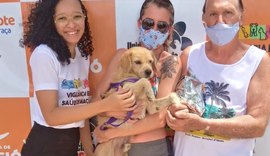 Feira de Adoção garante lar para mais dez cães e gatos