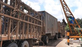 Usinas já beneficiaram 11,6 mi de toneladas de cana