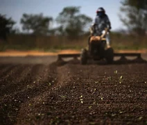 Exportadores de café no Brasil descartam ruptura no fornecimento aos EUA