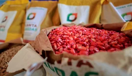Governo de Alagoas investe mais de R$ 26 milhões em ações para agricultura familiar no primeiro semestre
