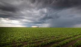 Desafios econômicos do El Niño: agricultores sob pressão