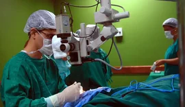 Exames são importantes para diagnóstico do câncer de intestino