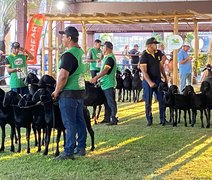 75ª Expoagro-AL será palco da Exposição Nacional da Raça Santa Inês