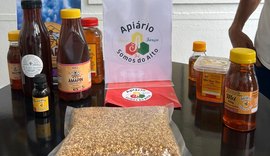 Pesquisa mostra que 23,6 mil quilos de mel foram produzidos no Sul de Alagoas