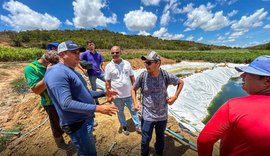 Criação de peixe em tanques gera emprego e renda para agricultores penedenses