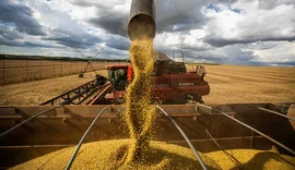 Inflação recua em agosto e preço do arroz cai pela metade em um ano