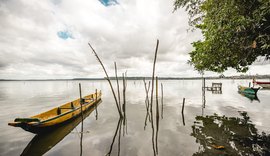 'Pinto com Sururu': ação junta frevo com coleta de resíduos na Lagoa Mundaú
