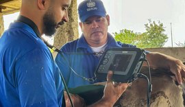Curso de diagnóstico gestacional em bovinos está com inscrições abertas