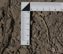 Tesouros de 4.500 anos revelados na Turquia reforçam legado arqueológico