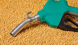 Demanda de biodiesel no Brasil deve crescer 2,7% com nova mistura obrigatória