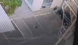 Criança de 4 anos é jogada do quinto andar e sobrevive; padrasto é suspeito