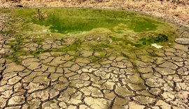 Cientistas dizem que Nordeste tem tecnologia suficiente para combate à seca