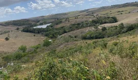 Cooperativa Pindorama recupera acessos a linhas de crédito após resolução de impasse ambiental em Alagoas