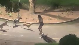 Vídeo: jovem é atacada por cães de rua durante a madrugada em parque de Arapiraca