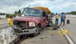 Caminhão fica destruído após bater em mureta na BR 101 em Teotônio Vilela