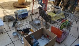 PF prende um dos principais traficantes de animais do país