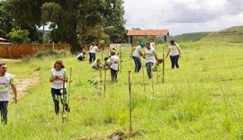 Servidores da CGE fazem plantio de 140 árvores no lançamento do Projeto Semear